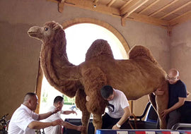 Brown Plush Camel Keychain – Handmade Dunhuang Backpack Charm,Phone Charm, Gift, Medium Size